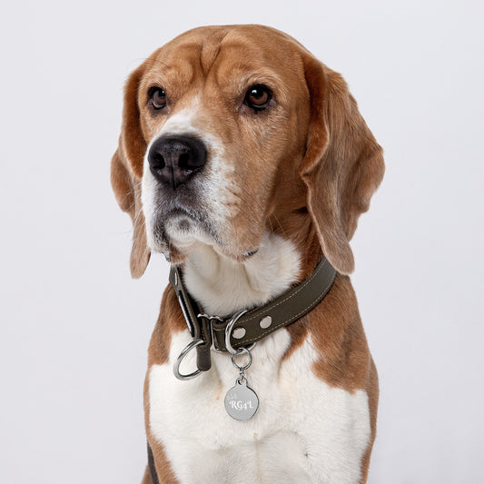 Engraved pet ID tag
