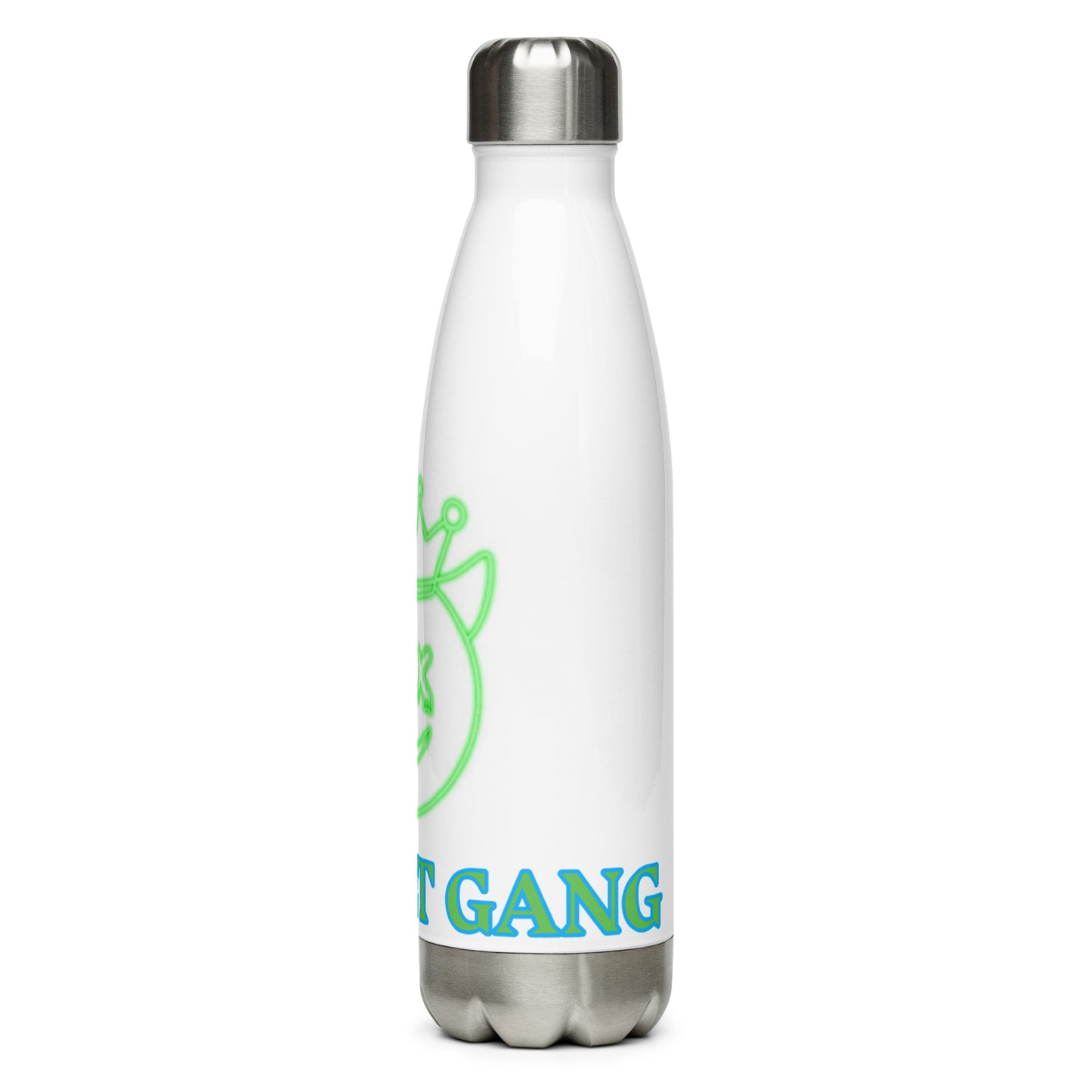 Stainless Steel Water Bottle