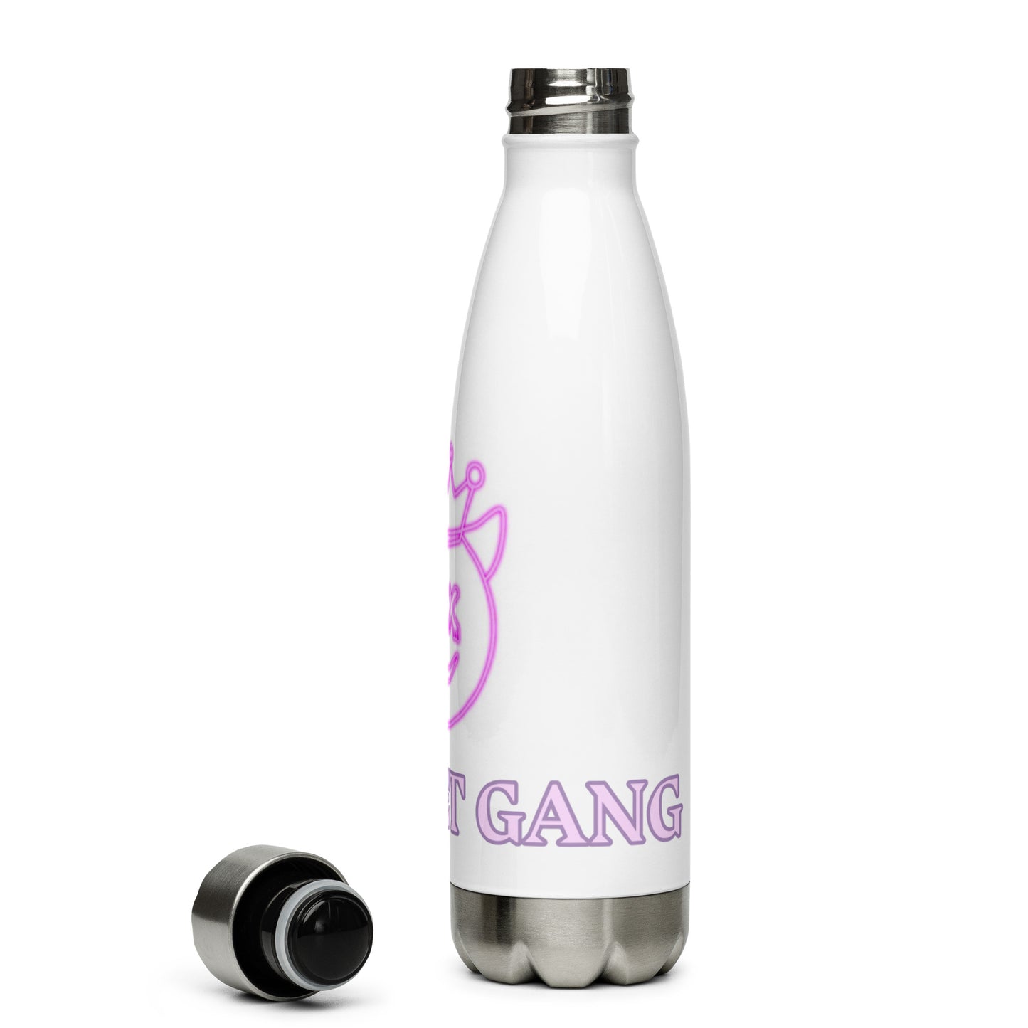 Stainless Steel Water Bottle