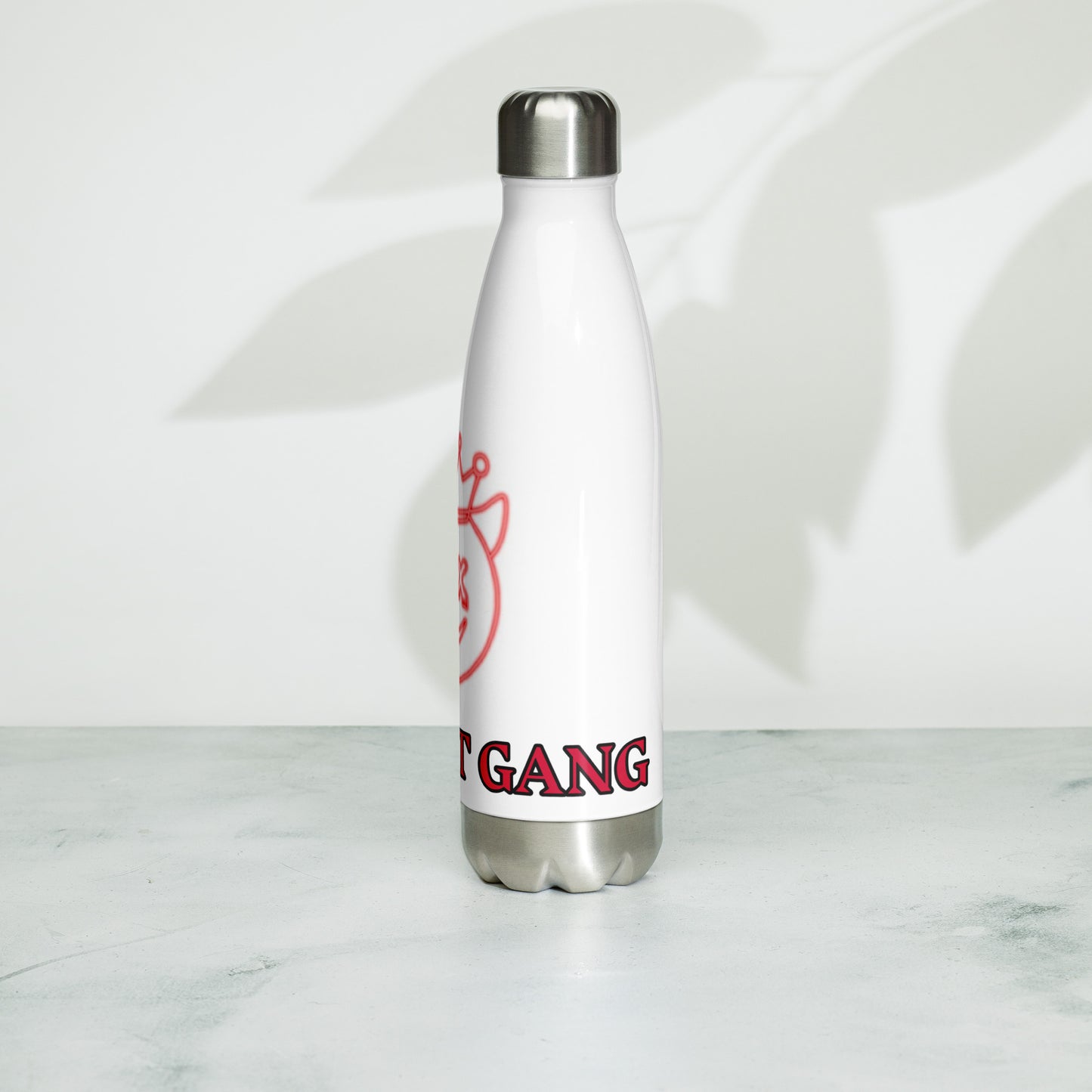 Stainless Steel Water Bottle